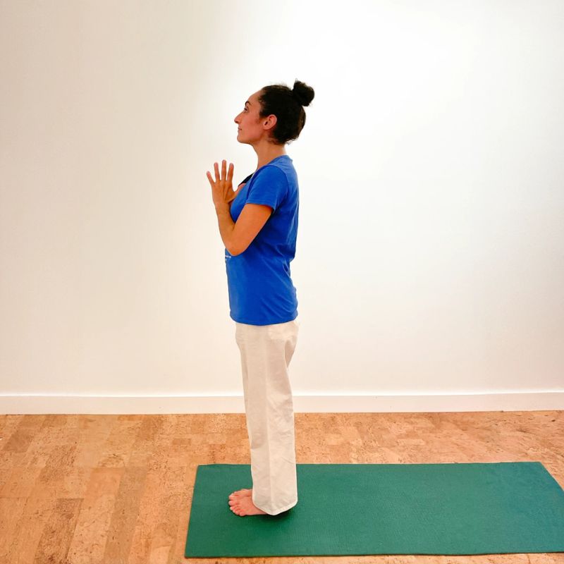 SivanandaCanada-Suryanamaskar_1