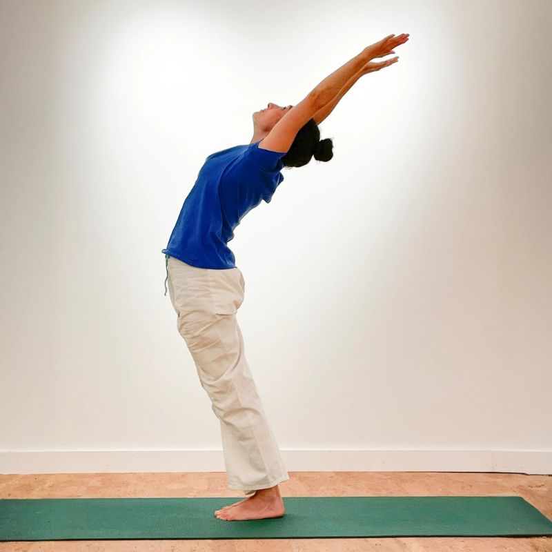 SivanandaCanada-Suryanamaskar_11