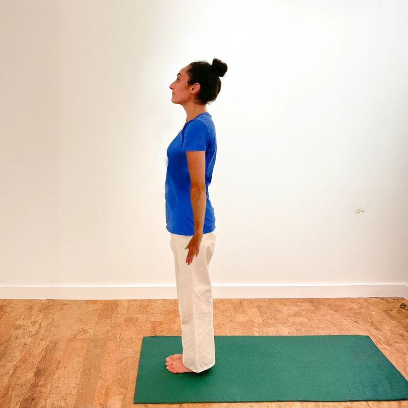 SivanandaCanada-Suryanamaskar_12