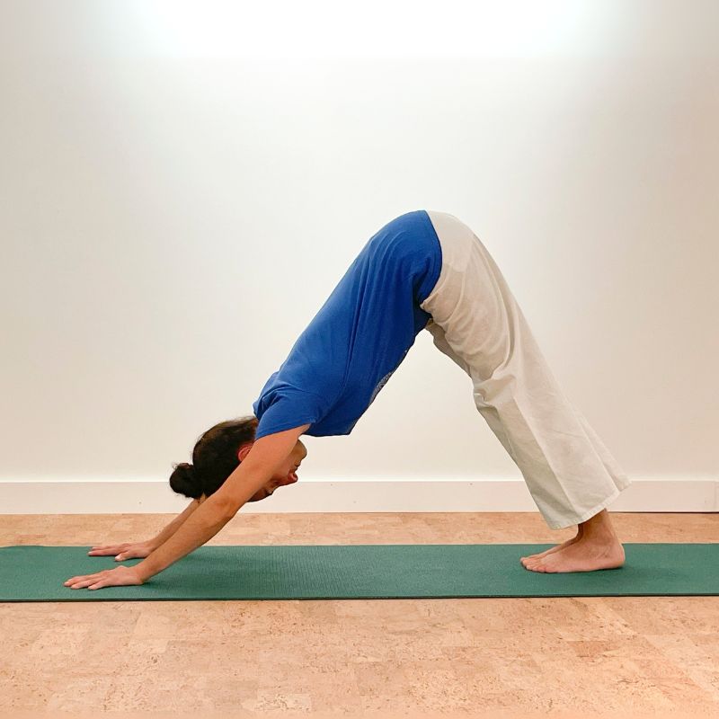 SivanandaCanada-Suryanamaskar_8