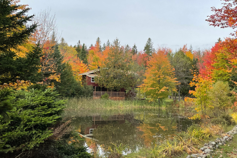 Yoga-and-Nature-800×533